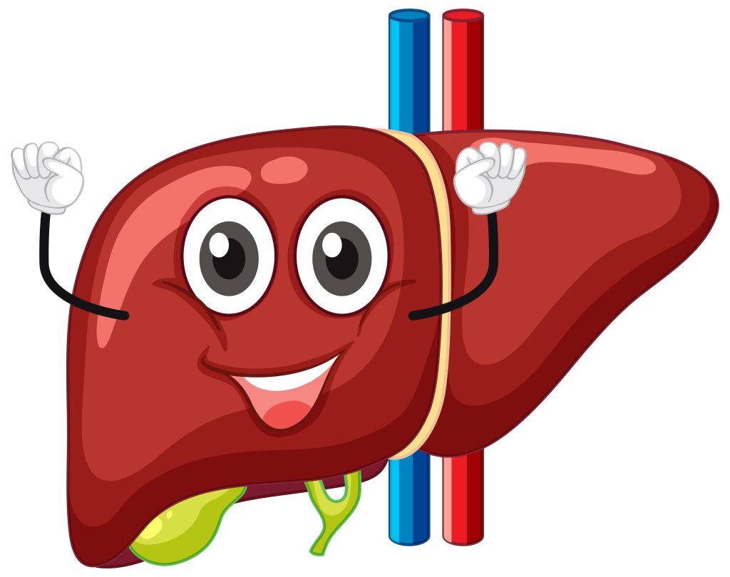 Everyone Blames Sugar for Fatty Liver. But Indians Are Missing the Bigger Problem. is fatty liver reversible