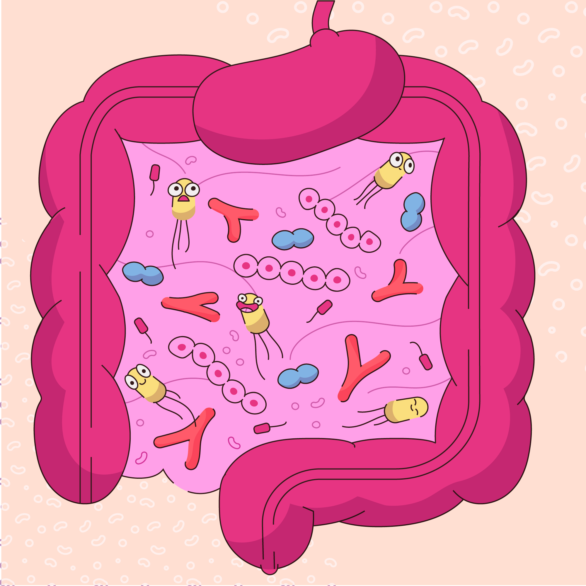 Probiotics for gut health