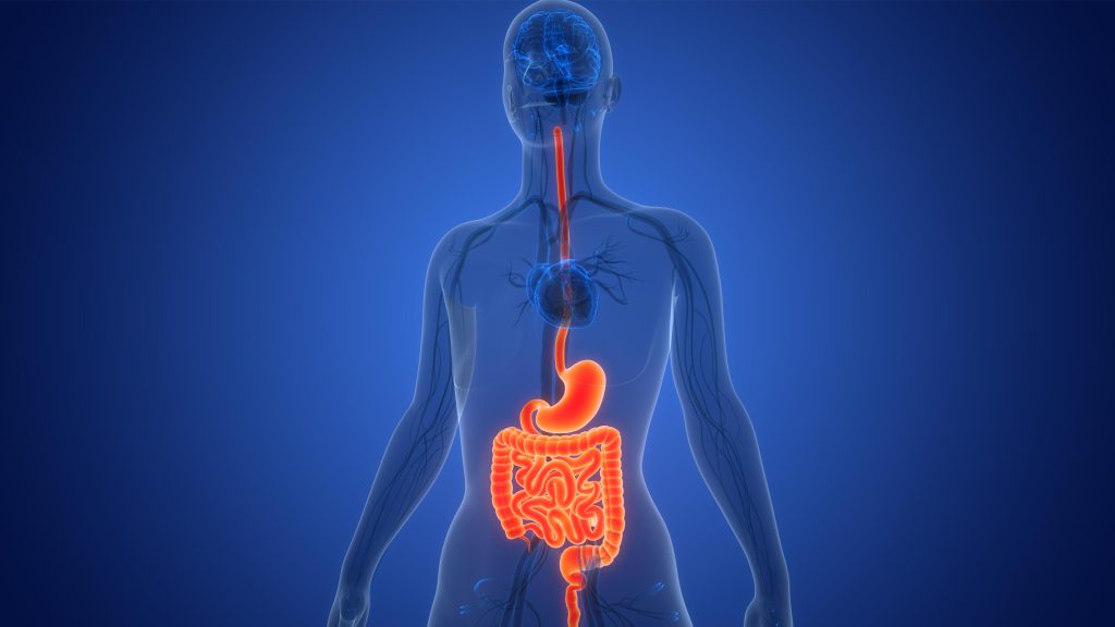 Bad Breath And Gut Health: What Your Body Is Telling You Bad Breath And Gut Health: What Your Body Is Telling You