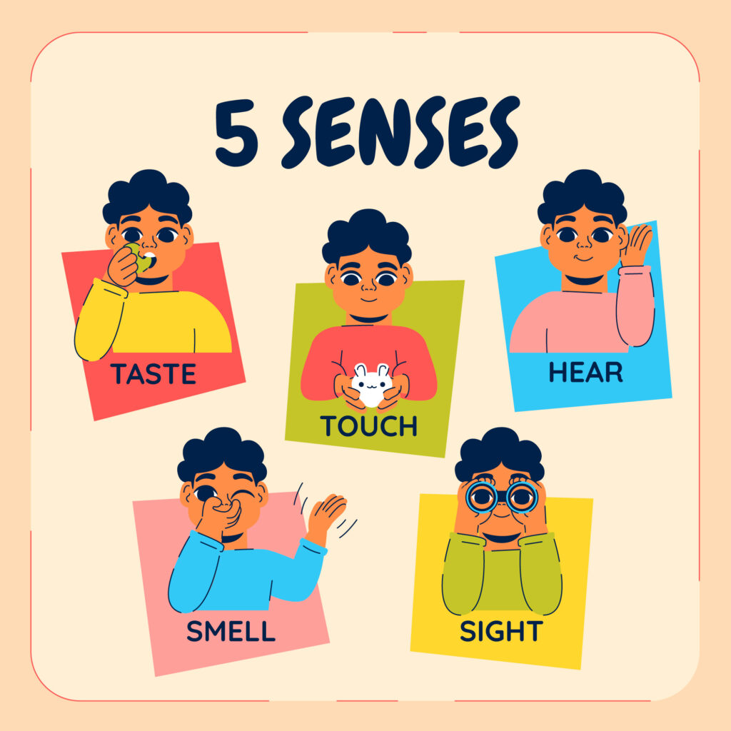 Activate the 5 Senses: How the TTSSS System Can Lower Stress Levels, Anxiety and Inflammation By engaging the TTSSS system – our taste, touch, sight, sound, and smell – we align with our body’s natural systems, allowing it to heal in the way it was designed to.