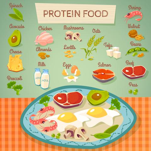 Think You Need 1 Gram of Protein Per Kilo? Here’s What Science Really Says! Think You Need 1 Gram of Protein Per Kilo? Here’s What Science Really Says!