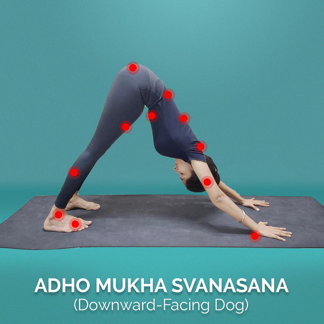 5 Must Do Yoga Postures for Impossibly Busy Days yoga-postures
