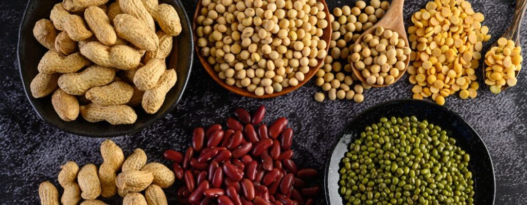 lectins-good-bad-top-foods|lectins-good-bad-top-foods|