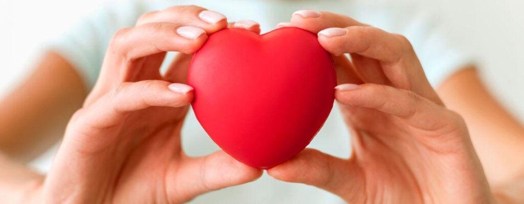 BLOG Easy Lifestyle Habits for Stronger Arteries and Healthier Blood Flow|Simple Lifestyle Hacks for Stronger Arteries and Healthier Blood Flow|Simple Lifestyle Hacks for Stronger Arteries and Healthier Blood Flow|Simple Lifestyle Hacks for Stronger Arteries and Healthier Blood Flow|