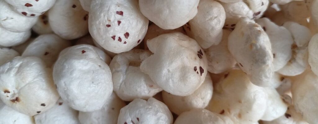 makhana benefits||