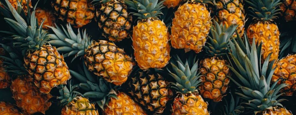 |pineapple-benefits-digestion-muscle-recovery-libido|pineapple-benefits-digestion-muscle-recovery-libido