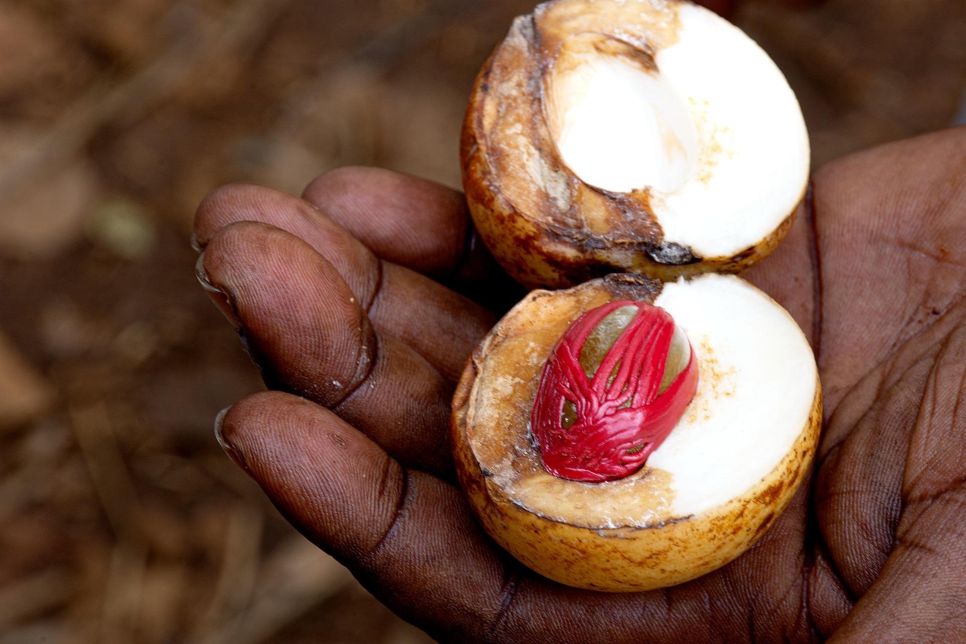 nutmeg health benefits