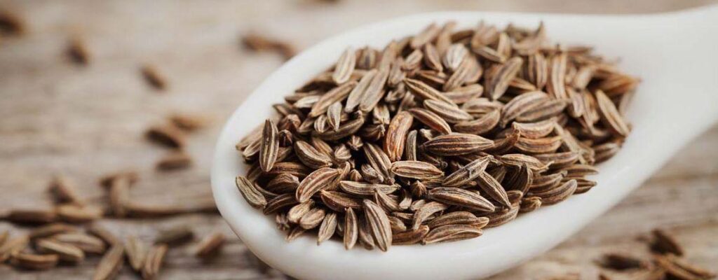black jeera seeds benefits|jeera-cumin-benefits|jeera-cumin-benefits|jeera-cumin-benefits|jeera-cumin-benefits|||jeera-cumin-benefits|jeera cumin benefits