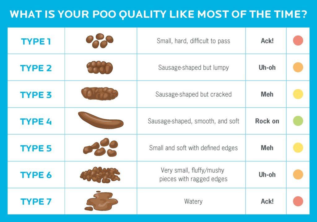 human stool color chart showing various types of poop