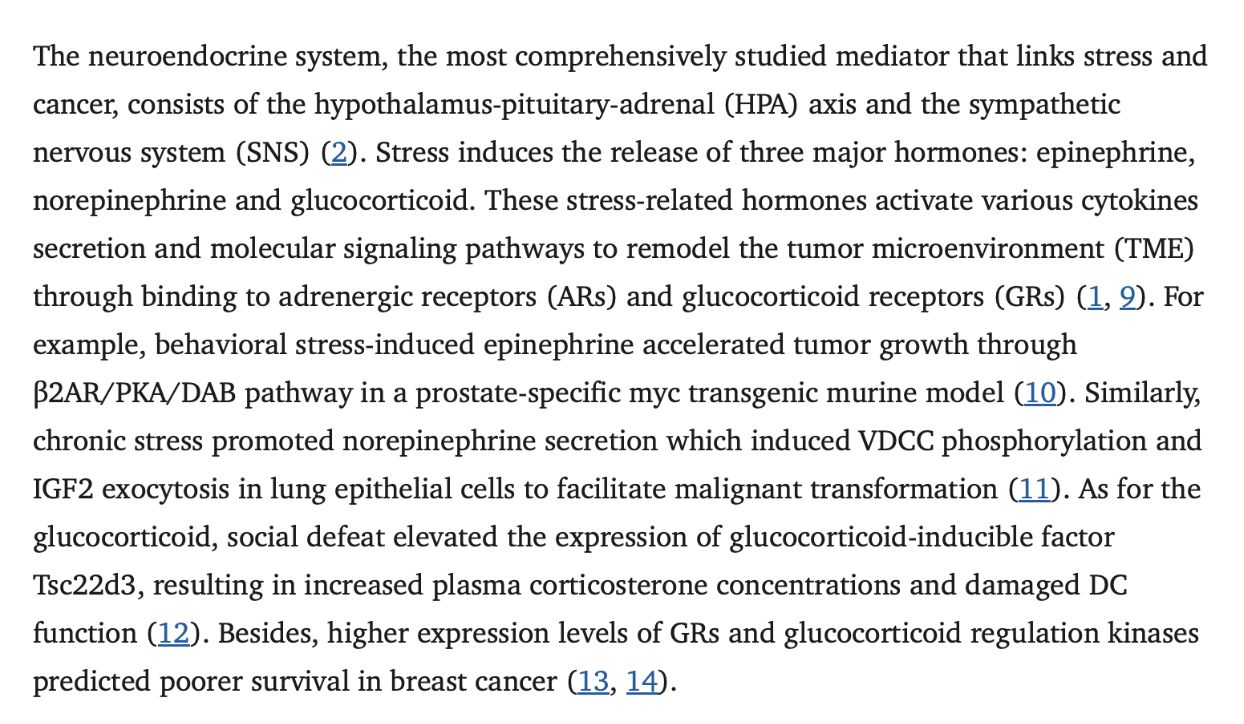 What No One Tells You About Breast Cancer: Could Unhealed Emotions Be Affecting Your Health?