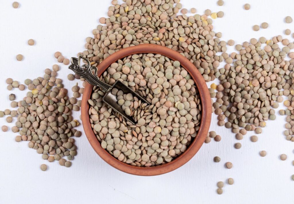 Horse Gram Benefits|Horse Gram Benefits: The High-Protein Indian Food That Beats Quinoa for Diabetes and Fat Loss|Horse Gram Benefits: The High-Protein Indian Food That Beats Quinoa for Diabetes and Fat Loss|Horse Gram Benefits: The High-Protein Indian Food That Beats Quinoa for Diabetes and Fat Loss