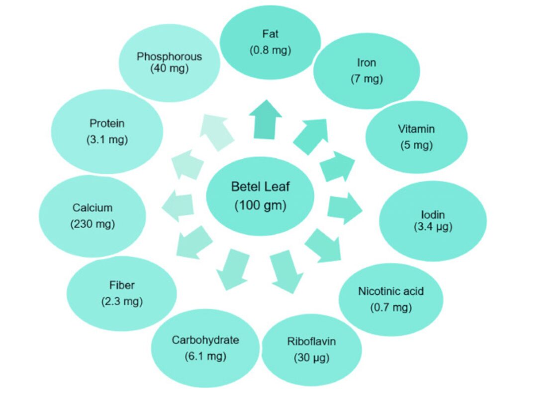 betel leaves nutritin & benefits for health and wellness