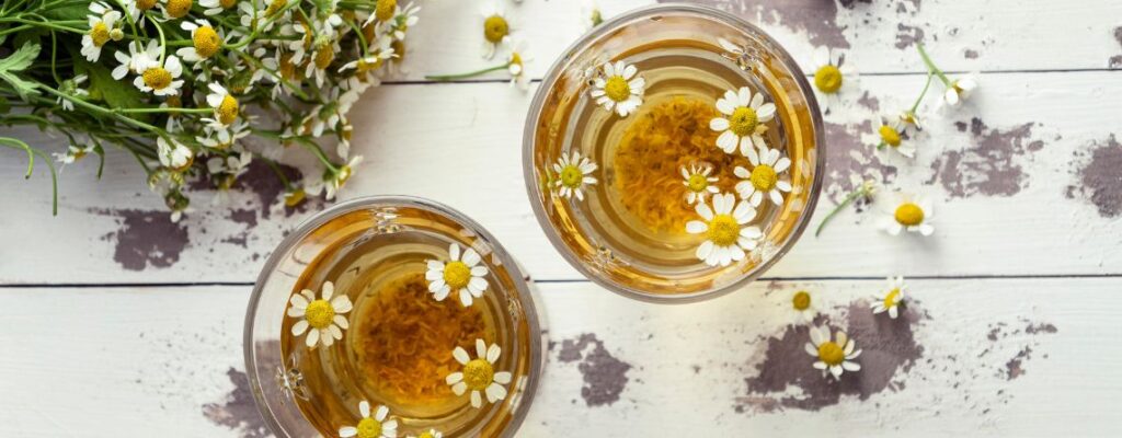 chamomile-tea-apigenin-benefits|chamomile-tea-apigenin-benefits|chamomile-tea-apigenin-benefits||chamomile-tea-apigenin-benefits