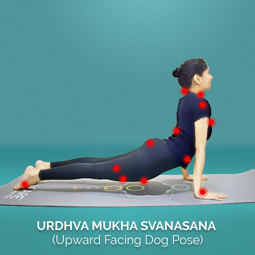 5 Must Do Yoga Postures for Impossibly Busy Days yoga-postures