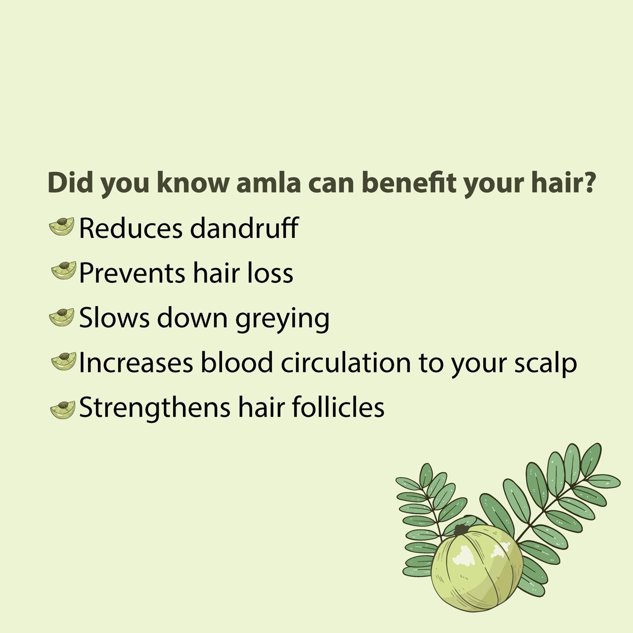 17 Amla Health Benefits You Just Cannot Miss highlighting amla benefits for hair