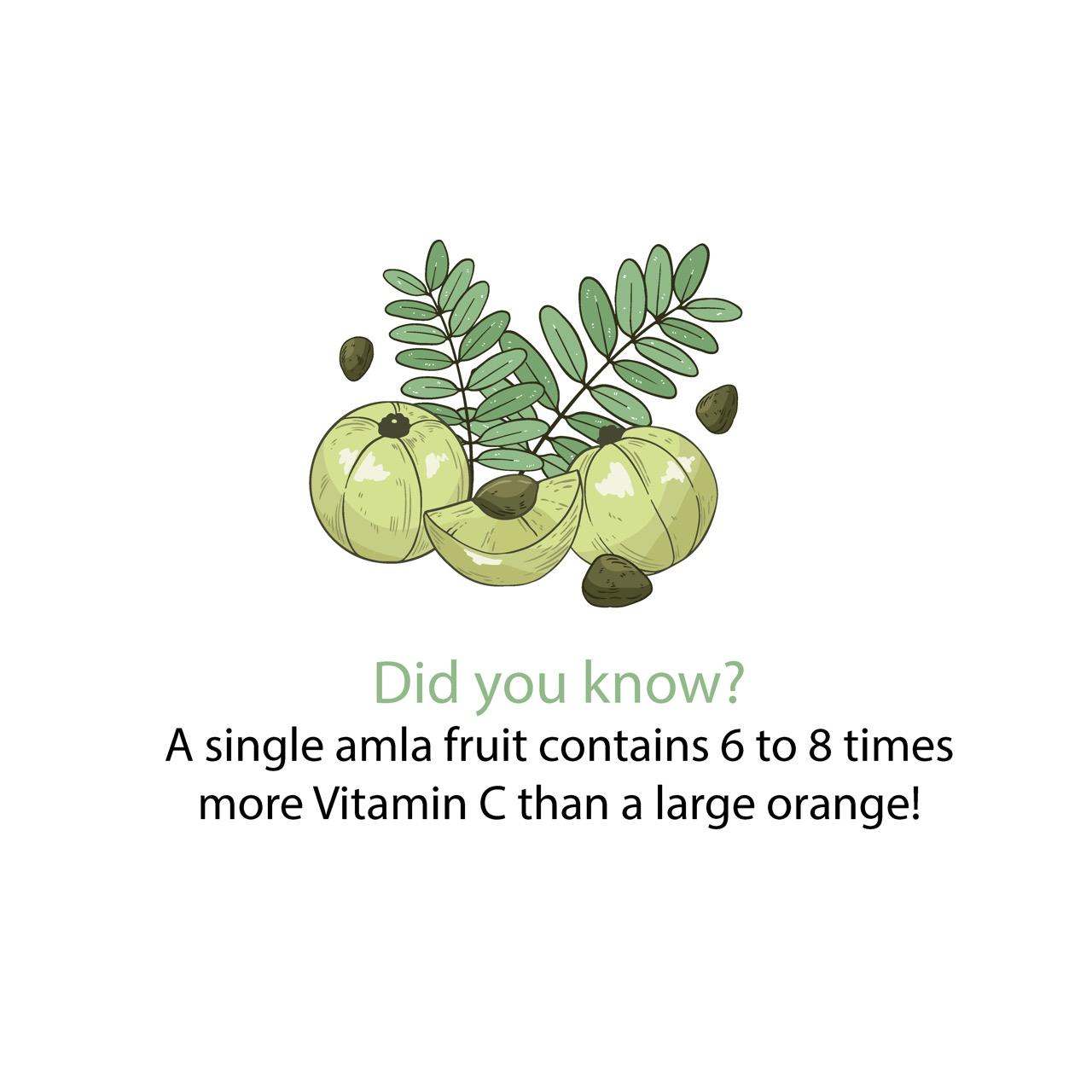 17 Amla Health Benefits You Just Cannot Miss highlighting amla benefits