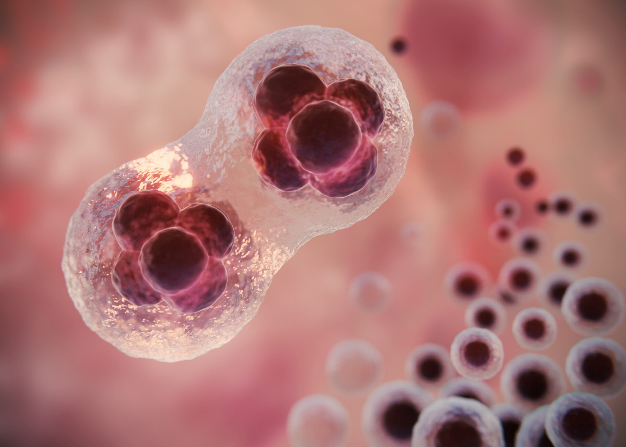 Not Everything You Hear About HPV is True—Let’s Clear Up the Confusion Not Everything You Hear About HPV is True—Let’s Clear Up the Confusion
