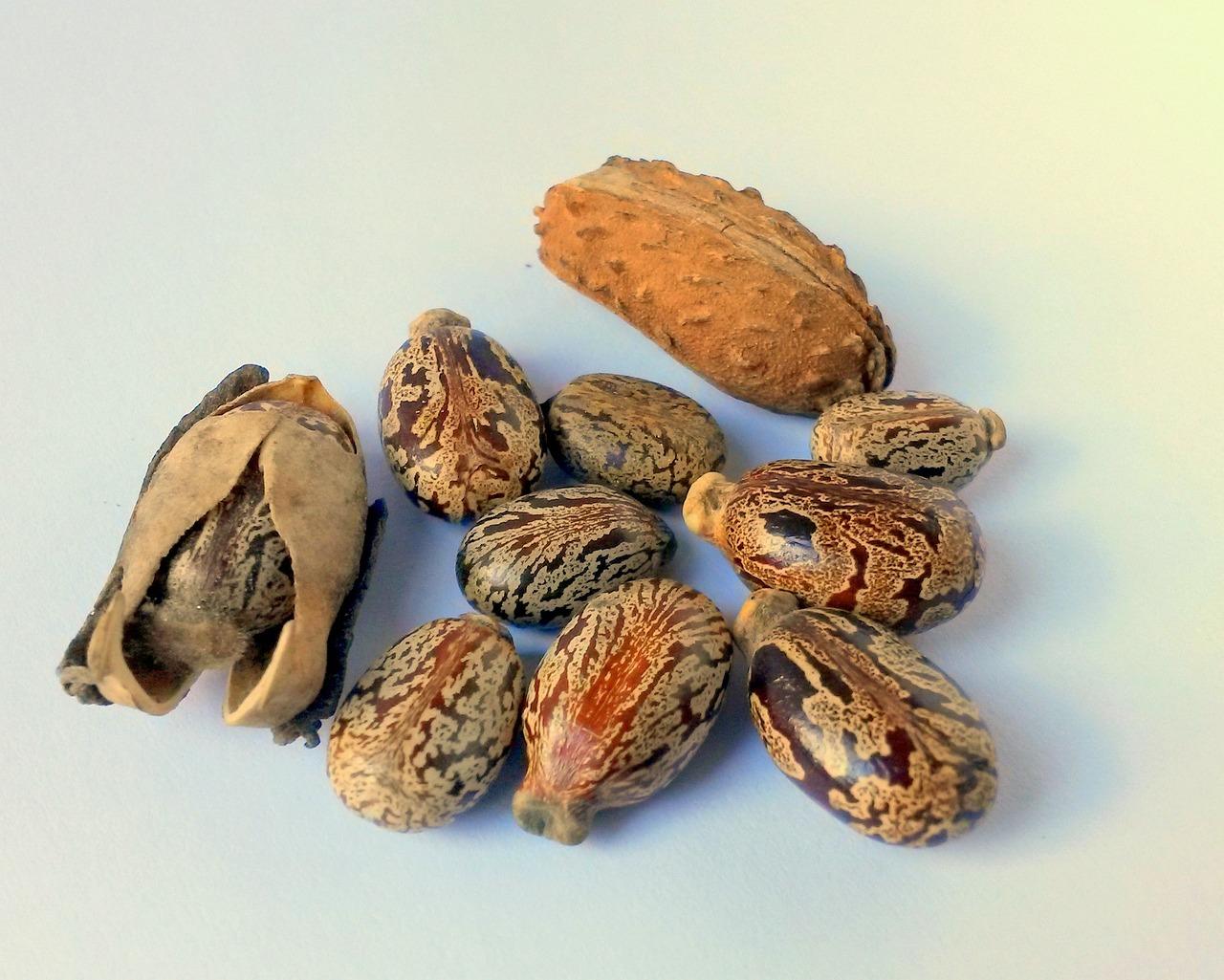 castor oil benefits