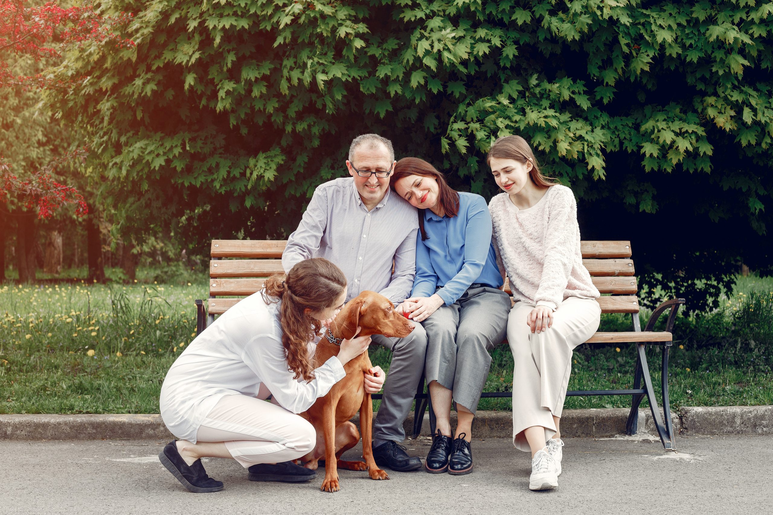 Why Most Seniors Feel Unwell (And What Actually Helps) healthy nutrition food and daily healthy habits for seniors