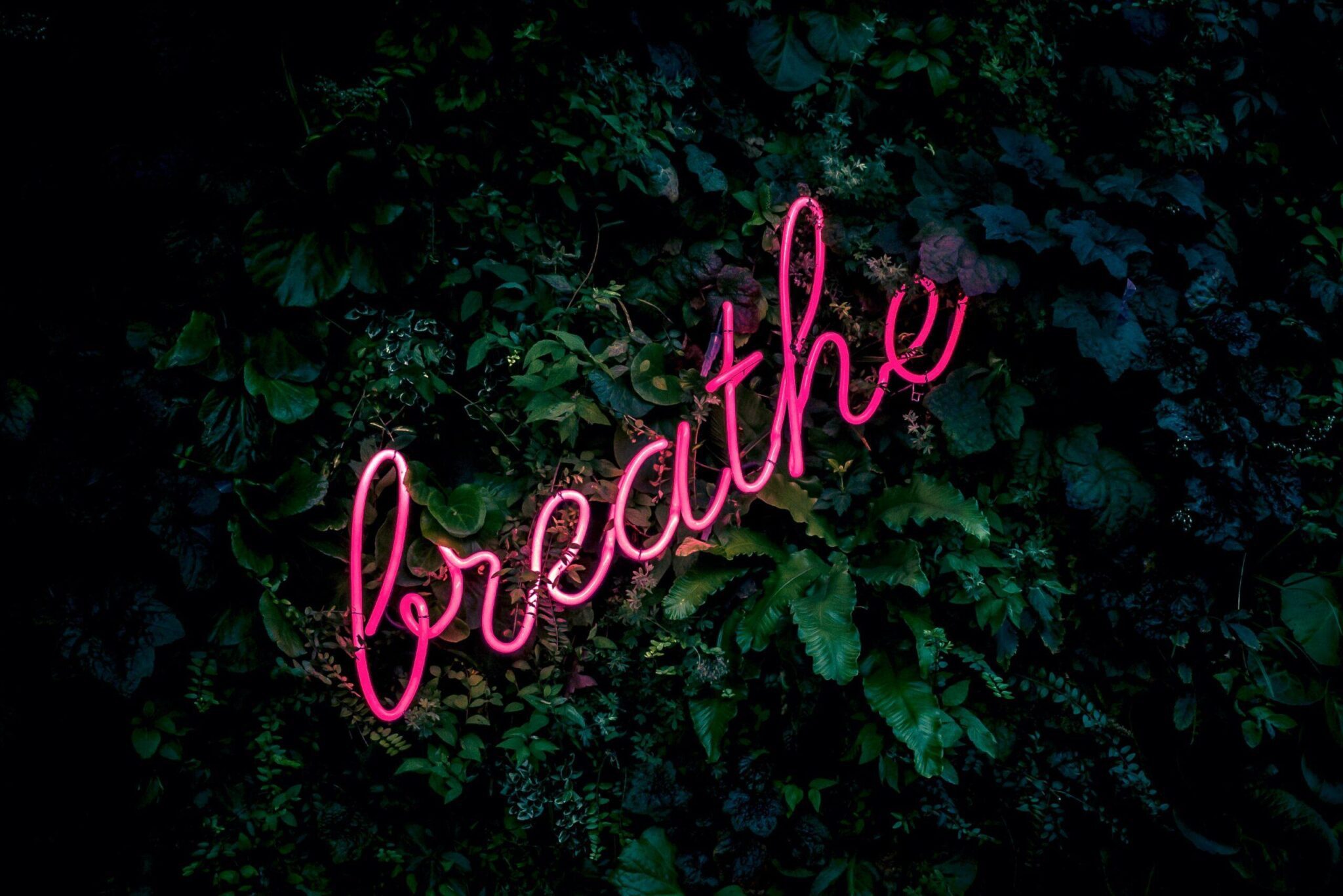self-care-tips