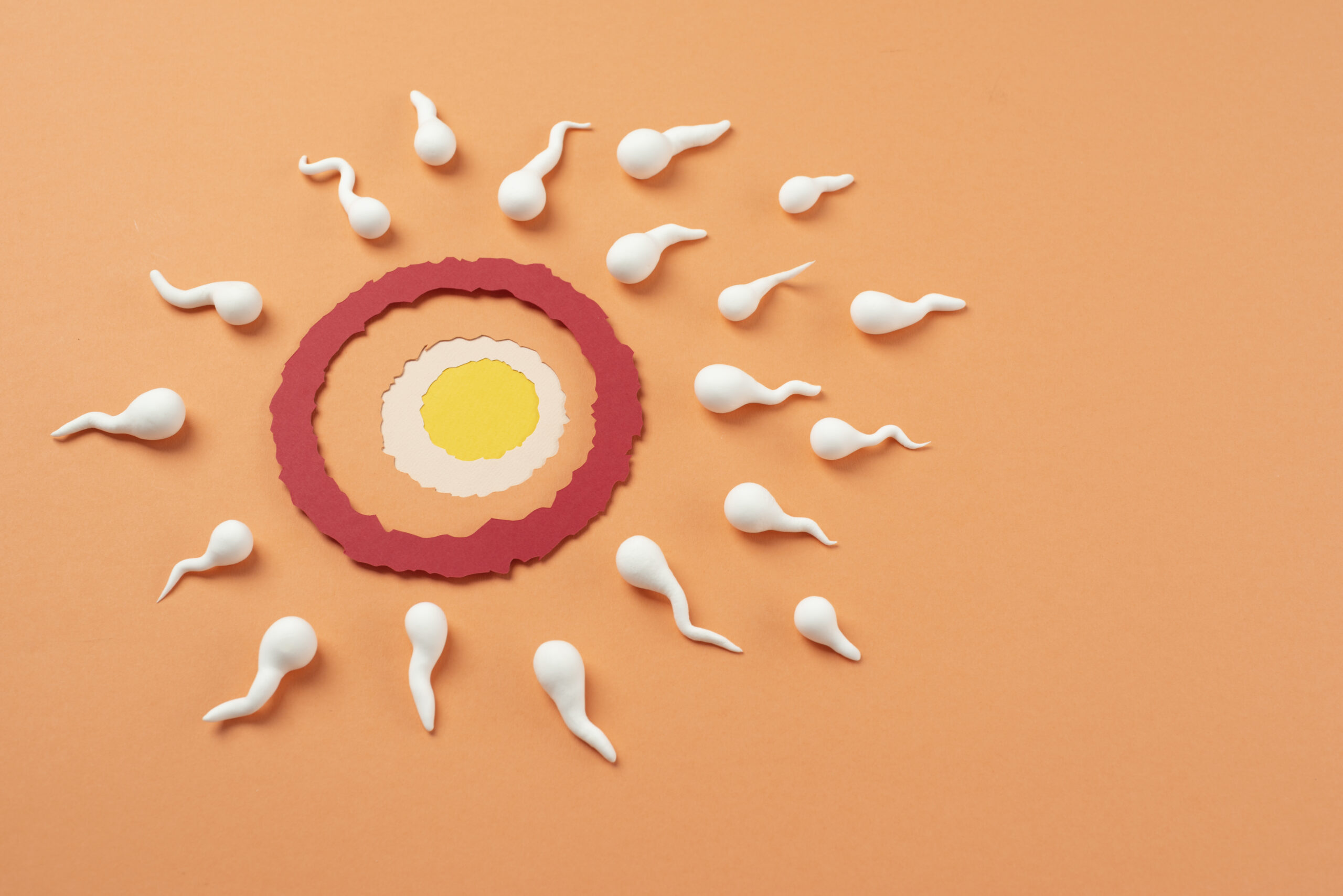 Air Quality Levels Are Rising – Is Your Respiratory System Ready? This Supplement Can Help! Air Quality Levels Are Rising – Is Your Respiratory System Ready? This Supplement Can Help!