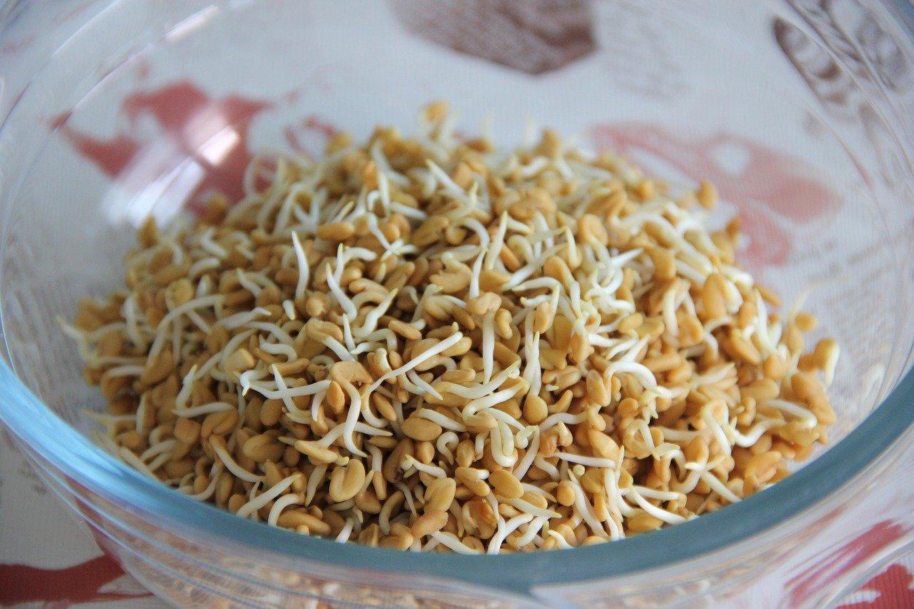 fenugreek-seeds-methi-benefits