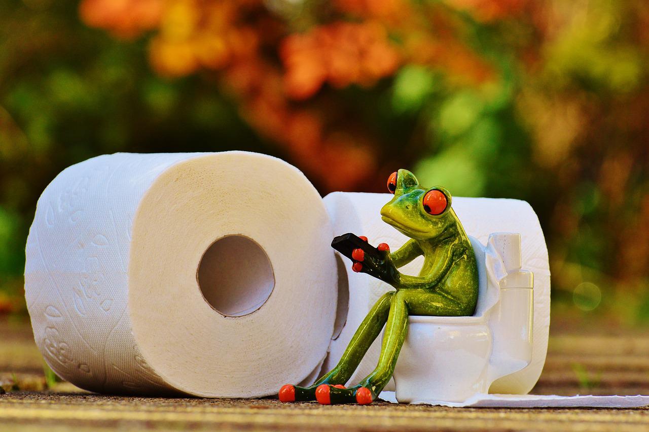 What Your Poop Says About Your Health: Types, Colours, and When to Worry stool consistency