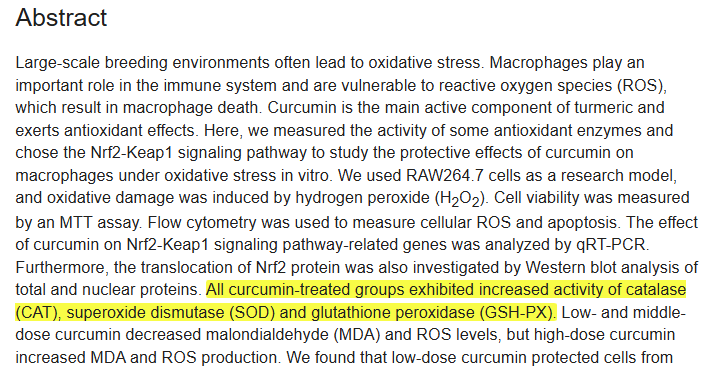 l carnitine als Acetyl-L-Carnitine Archives