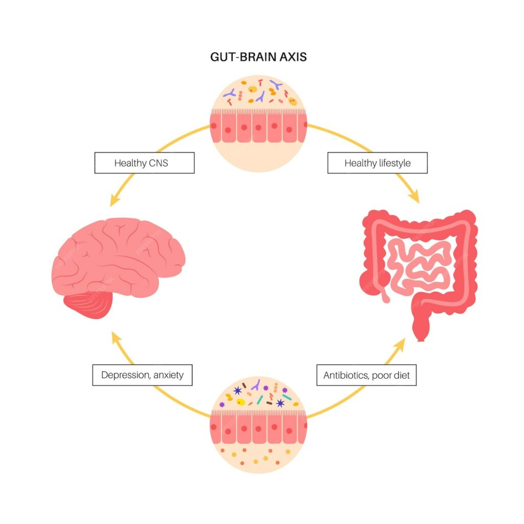 5 Proven Ways to Supercharge Your Gut-Brain Connection Brain gut connection