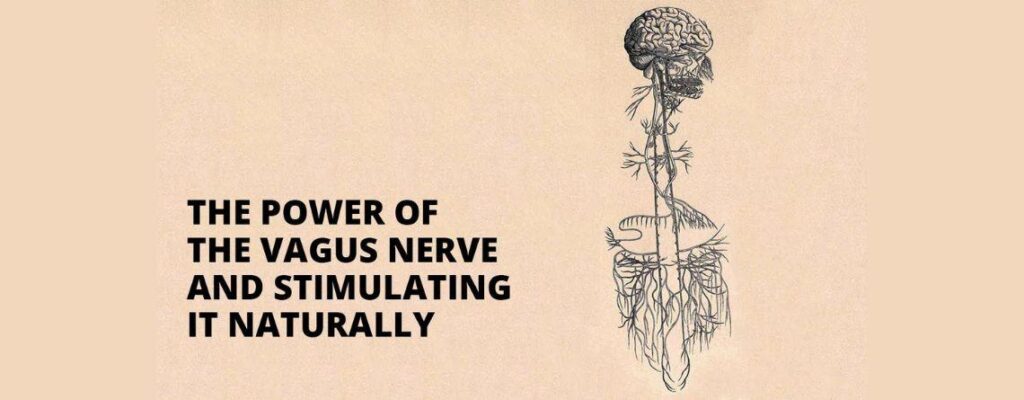 how to stimulate the vagus nerve|how to stimulate the vagus nerve|how to stimulate the vagus nerve|how to stimulate the vagus nerve|how to stimulate the vagus nerve|how to stimulate the vagus nerve|how to stimulate the vagus nerve