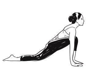 Salute the Sun: How a 15-Minute Daily Surya Namaskar Can Supercharge Your Mornings Salute the Sun: How a 15-Minute Daily Surya Namaskar Can Supercharge Your Mornings