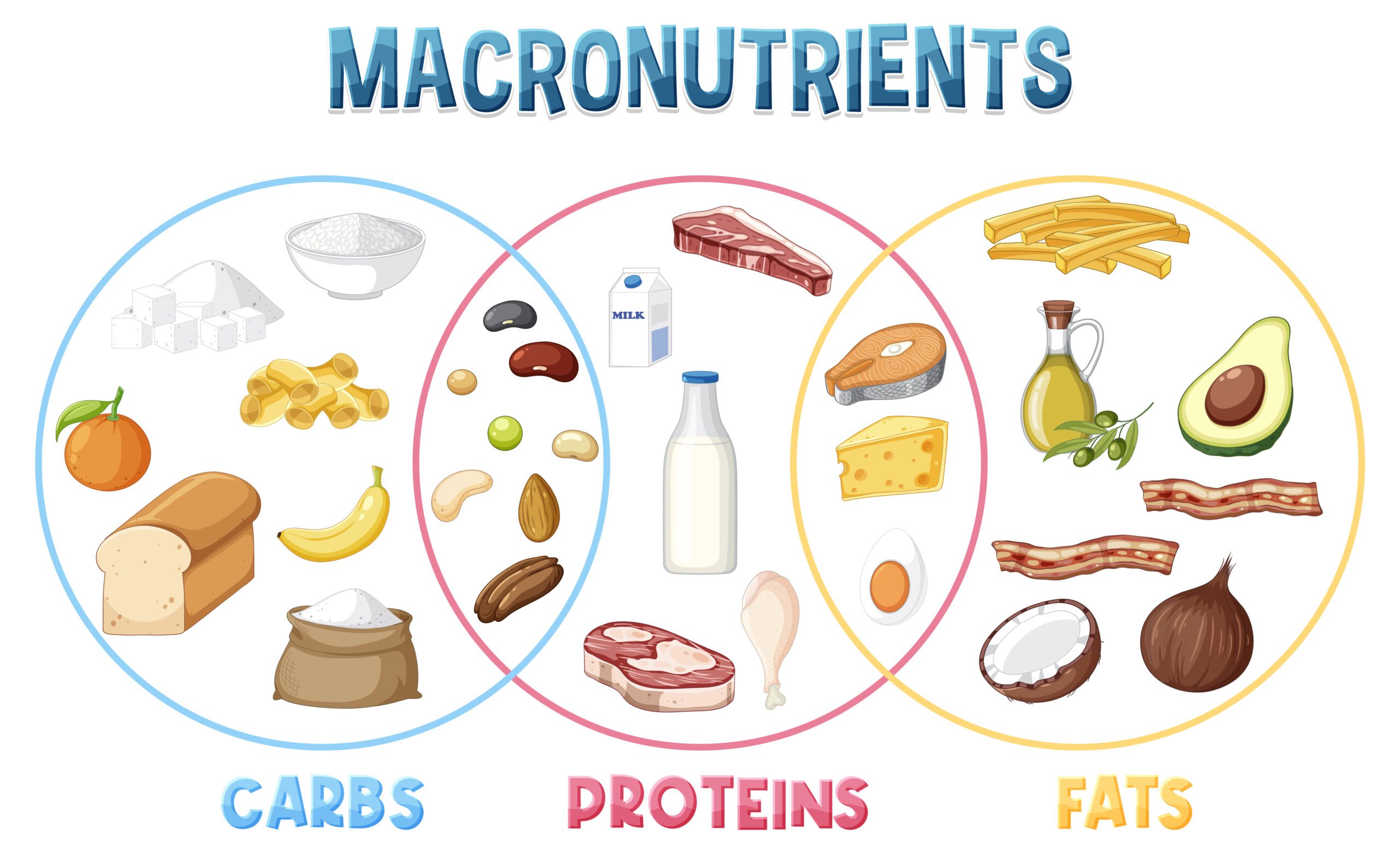 Think You Need 1 Gram of Protein Per Kilo? Here’s What Science Really Says! Think You Need 1 Gram of Protein Per Kilo? Here’s What Science Really Says!