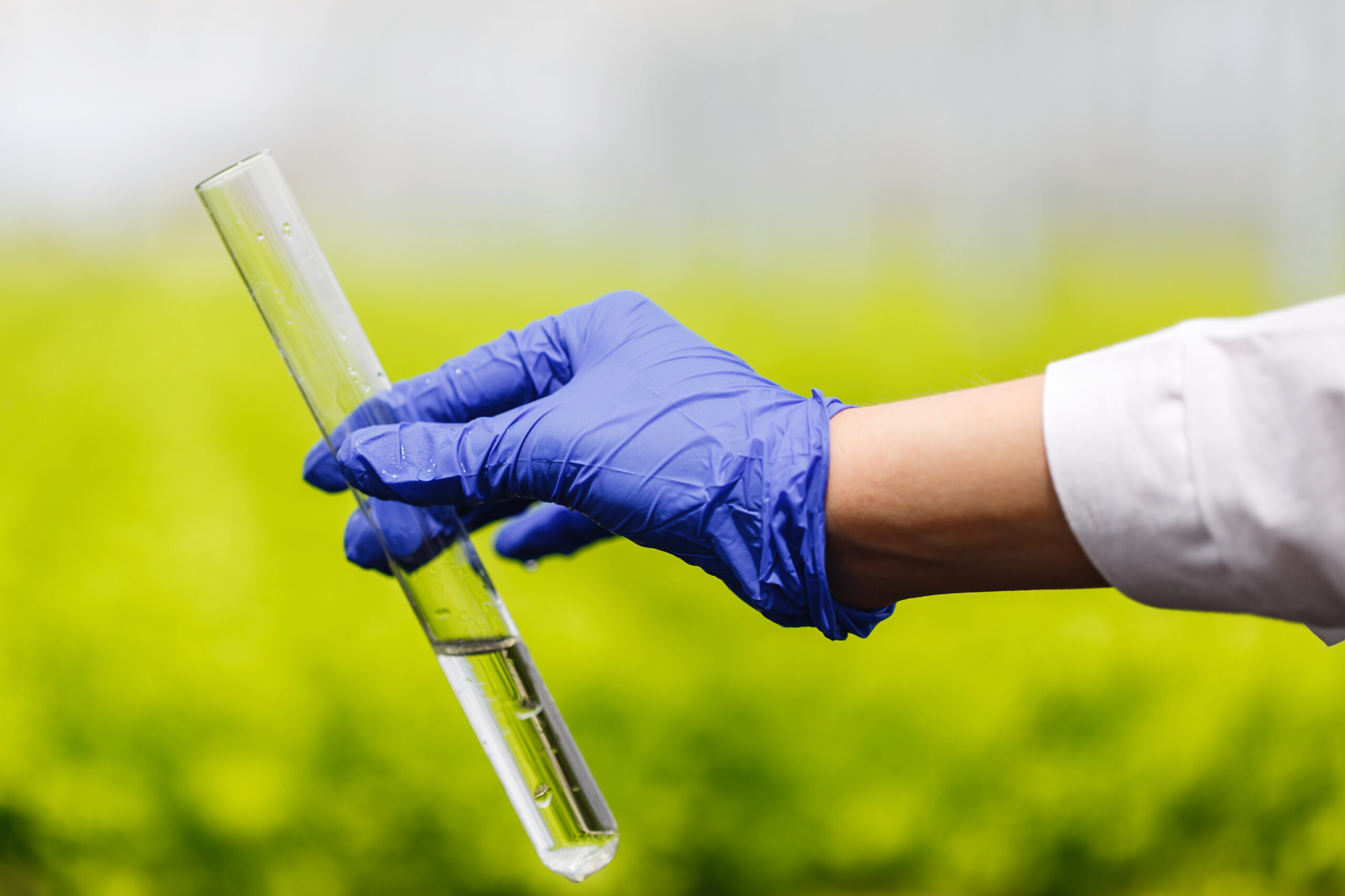 What Food Lobbies Don’t Want You to Know: The Silent Crisis of Heavy Metals in Everyday Foods