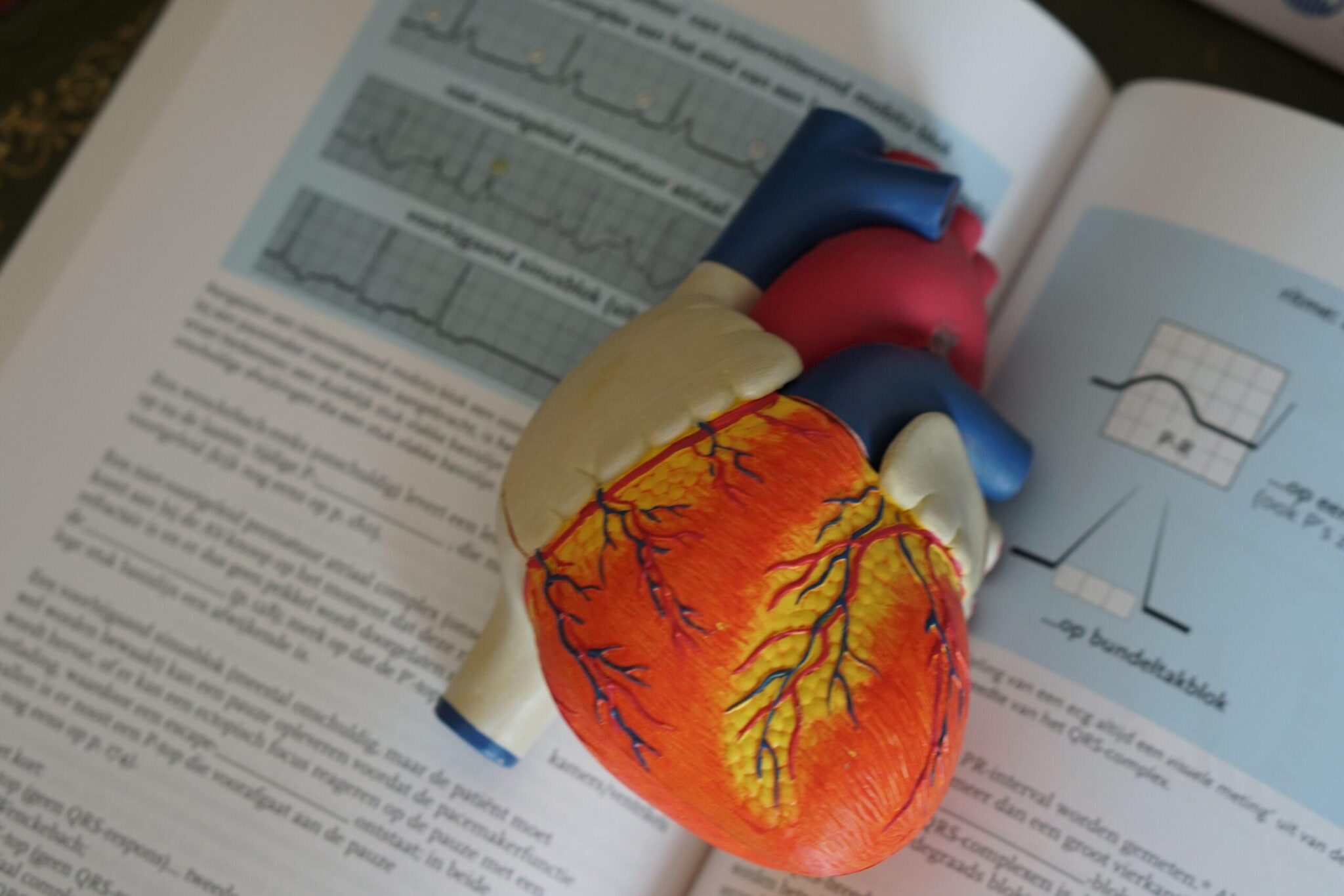 hormone-heart-health