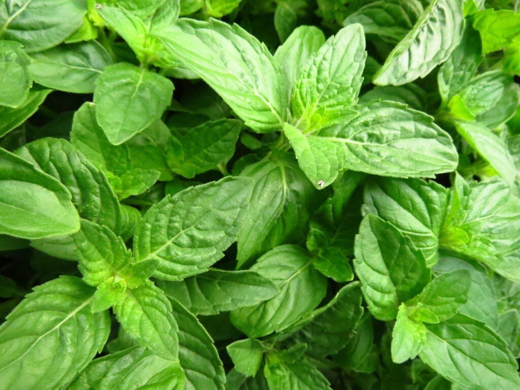 5 Lifestyle Changes to Win the Battle Against Acidity