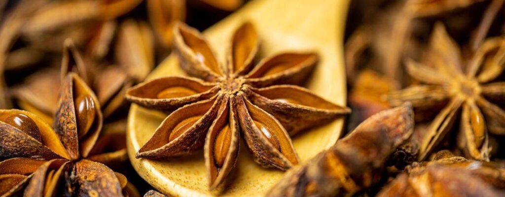 star anise benefits|star anise benefits|star anise benefits