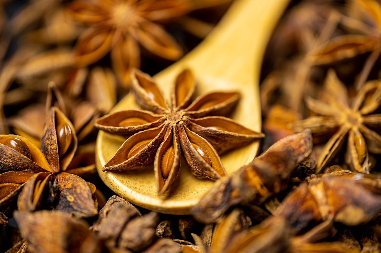 star anise benefits