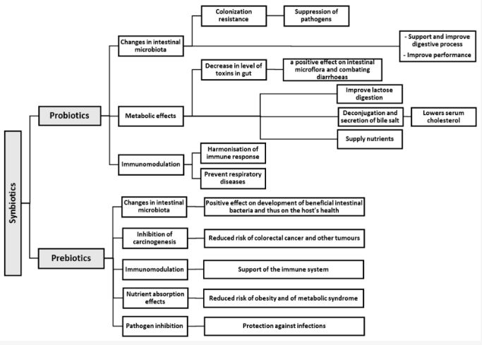 Synbiotics