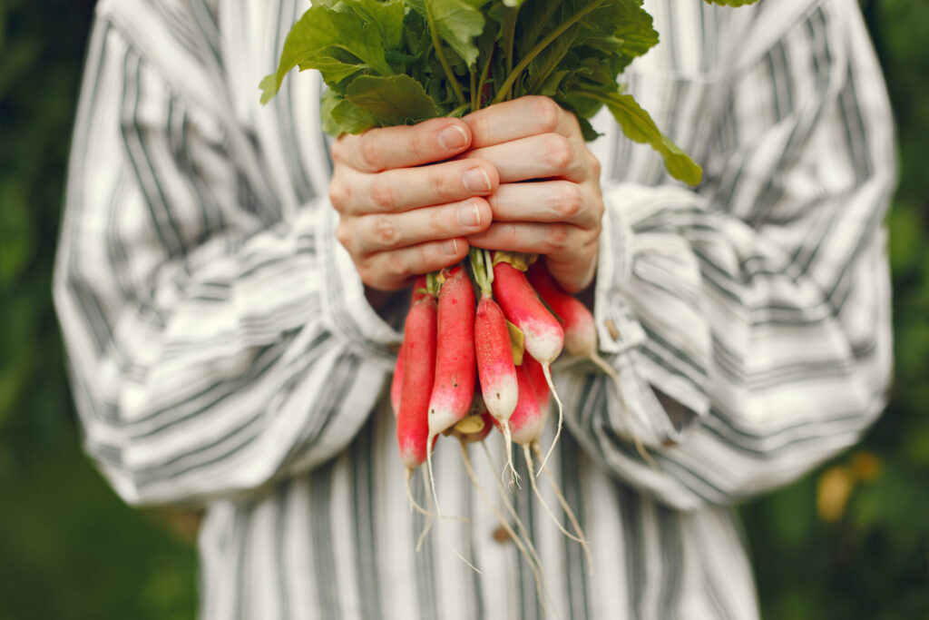 My Go-To Winter Veggie for Gut Health, Hormonal Balance, Regulate Inflammation and More!|My Go-To Winter Veggie for Gut Health, Hormonal Balance, Regulate Inflammation and More!|My Go-To Winter Veggie for Gut Health, Hormonal Balance, Regulate Inflammation and More!|My Go-To Winter Veggie for Gut Health, Hormonal Balance, Regulate Inflammation and More!|My Go-To Winter Veggie for Gut Health, Hormonal Balance, Regulate Inflammation and More!|My Go-To Winter Veggie for Gut Health, Hormonal Balance, Regulate Inflammation and More!|My Go-To Winter Veggie for Gut Health, Hormonal Balance, Regulate Inflammation and More!|My Go-To Winter Veggie for Gut Health, Hormonal Balance, Regulate Inflammation and More!|