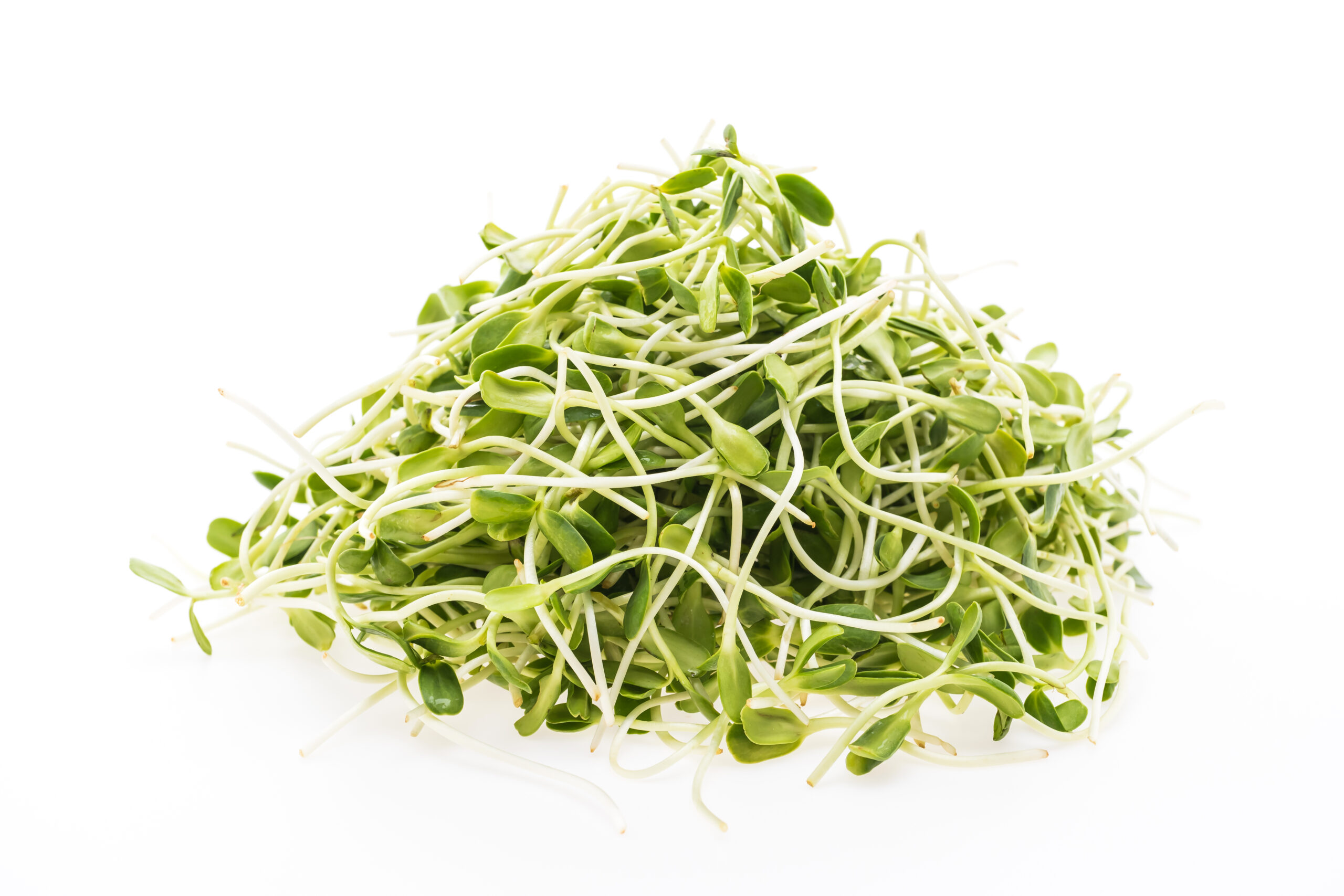 Sprouted vs Unsprouted Grains: Benefits and How They Differ?