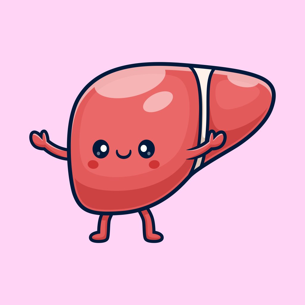 Grade 3 Fatty Liver Reversed in 6 Months: No Magic Pills, Just Foundational Medicine how to improve liver health naturally