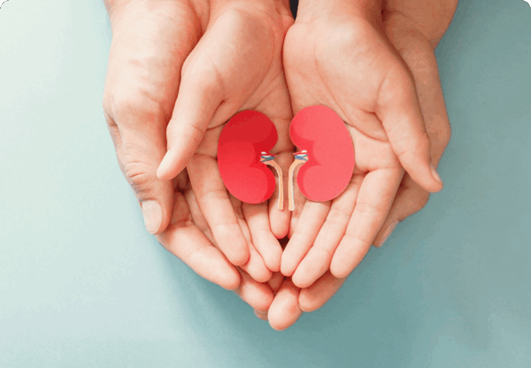 Cancer Support and Nutrition