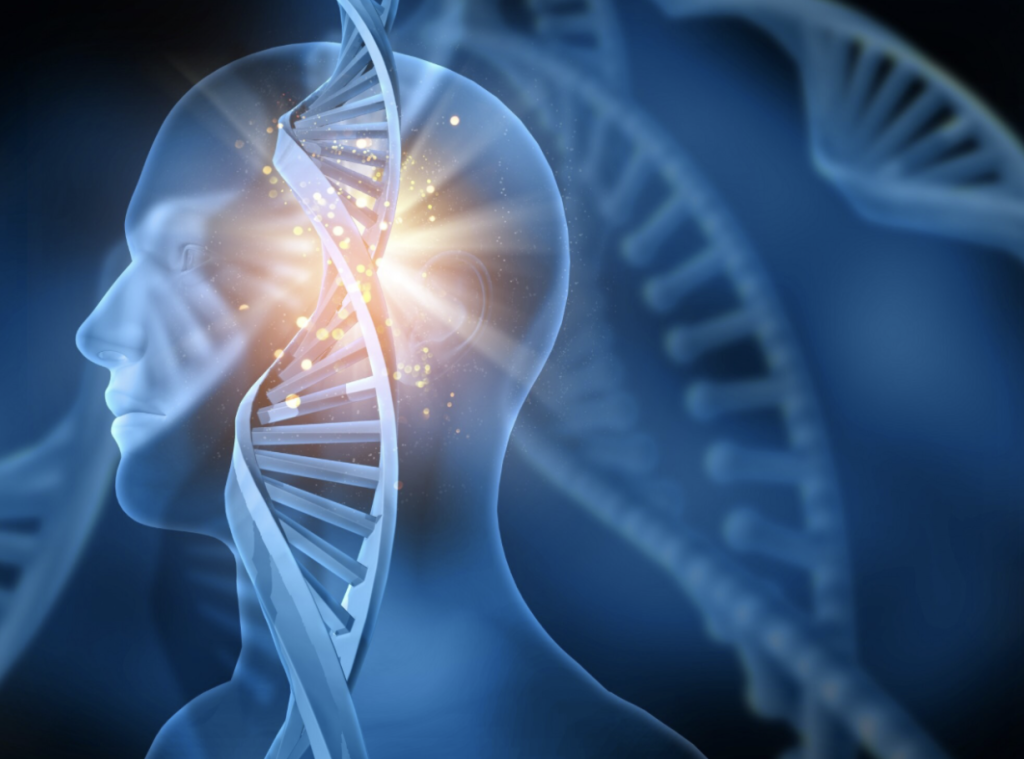 Activating Your Inner Physician: Retraining Your Nervous System