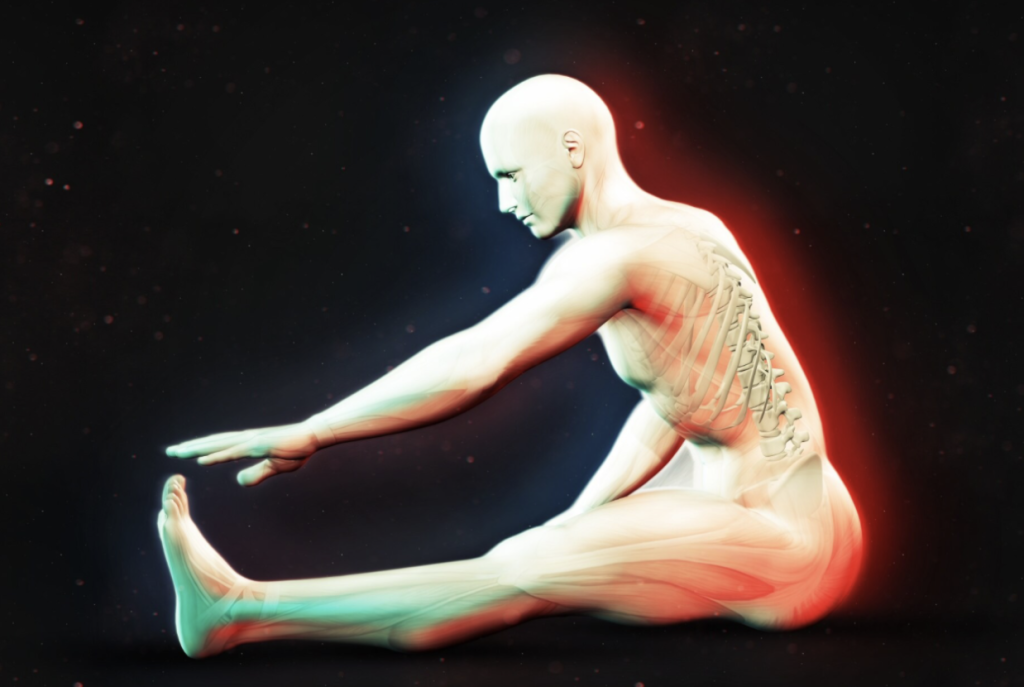 Activating Your Inner Physician: Retraining Your Nervous System