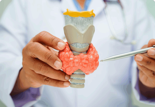Thyroid Care