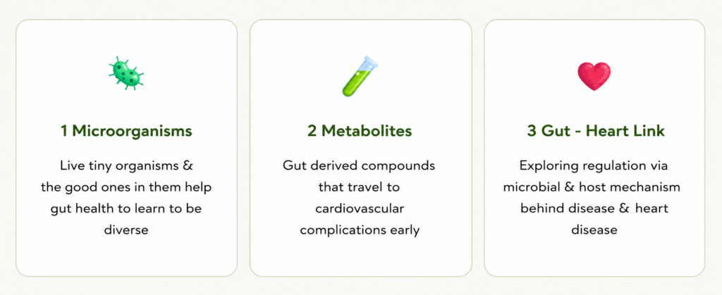 Can an Unhealthy Gut Raise Your Cholesterol?