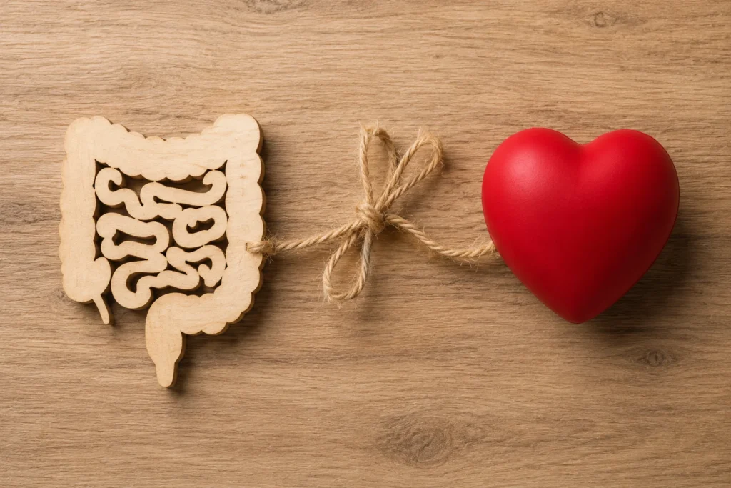 Can an Unhealthy Gut Raise Your Cholesterol?