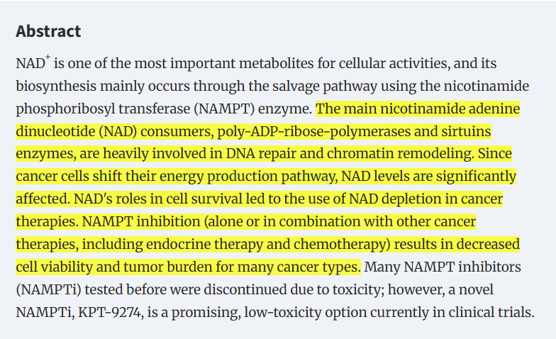 NAD+ benefits