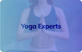 Experts-6